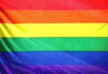 Adulting 101: Navigating Life as a Gay Individual Without Coming Out