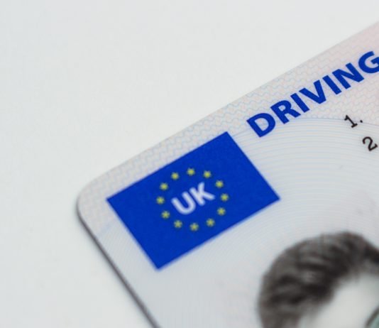 Adulting 101: Replacing a Lost Driver’s License