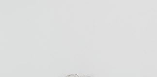 Adulting 101: Taming the Money Monster—A Hilarious Guide to Managing Your Bank Account and Budget!