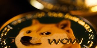 Adulting 101: Cryptocurrency Riches—A Hilarious Adventure in the Crypto Jungle!